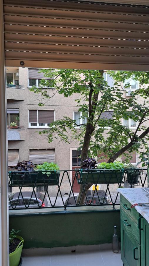 Apartman Jaki 萨格勒布 外观 照片